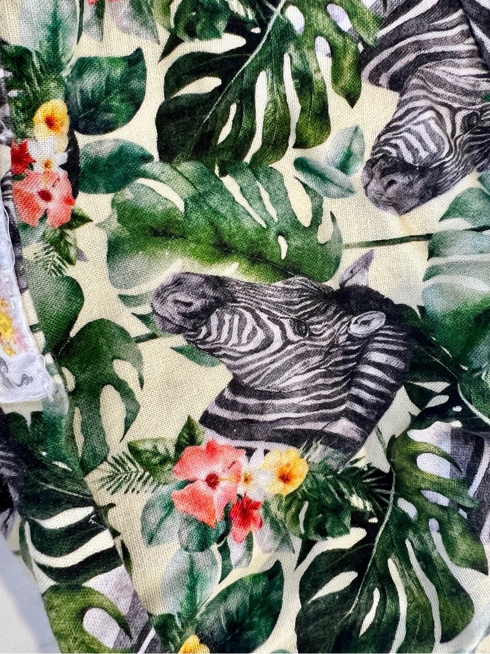 Zebra Surgical Caps, Kim Kaps